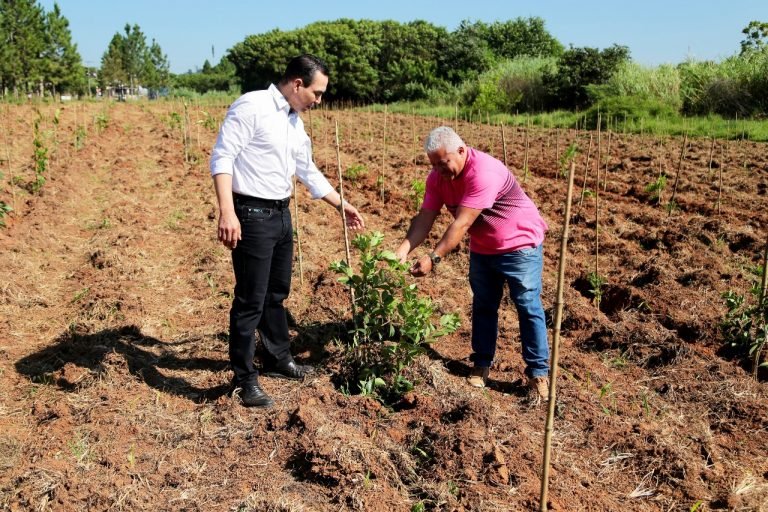 Plantio_pescoço (3)