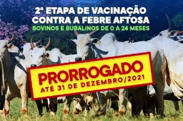 2021-12-08_191545