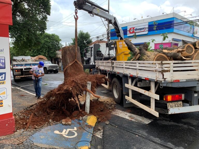 WhatsApp Image 2022-01-31 at 14.09.34 (1)