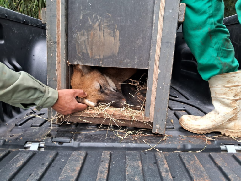 WhatsApp Image 2023-08-28 at 21.11.53