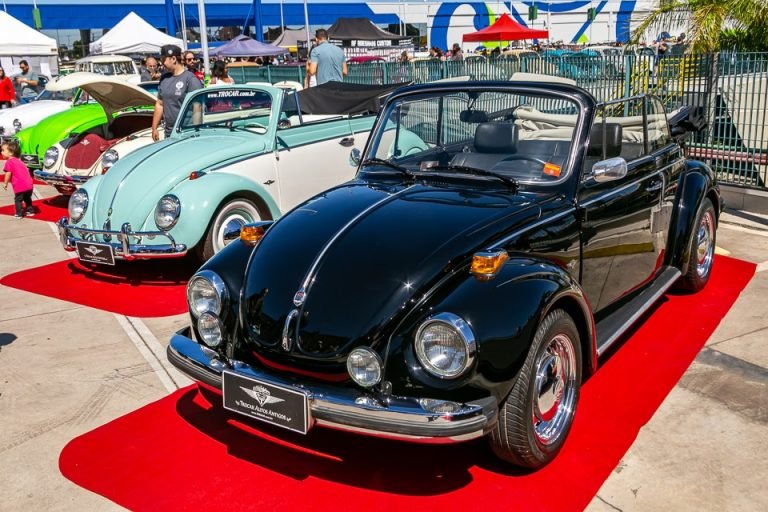 WhatsApp-Image-2023-09-04-at-15.36.31