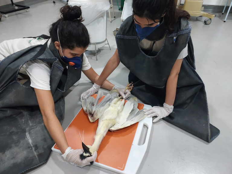 WhatsApp Image 2023-09-15 at 13.42.10 (1)