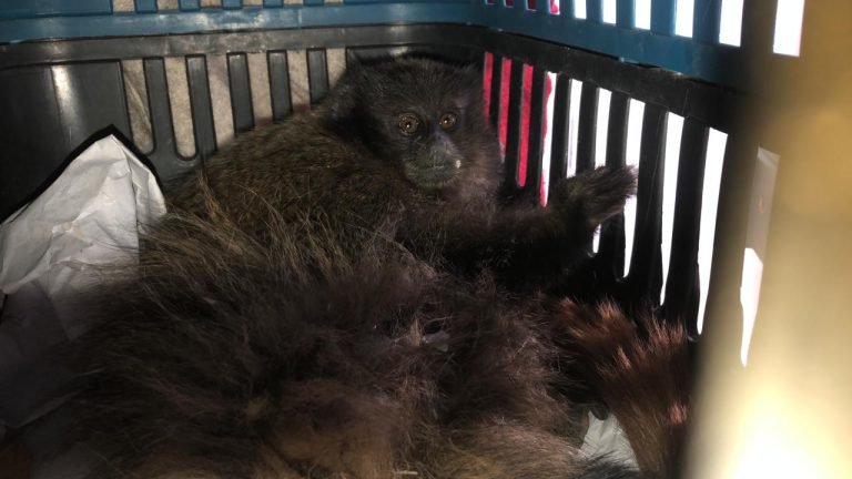 WhatsApp Image 2023-09-17 at 17.44.22