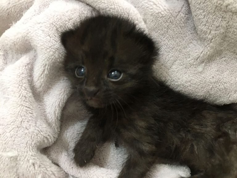 WhatsApp Image 2023-09-25 at 10.00.19