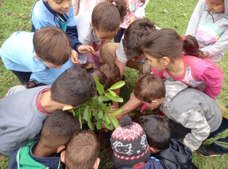 Captura de tela 2023-10-11 082352