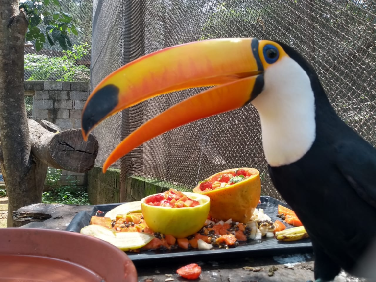 WhatsApp Image 2023-12-01 at 14.38.04