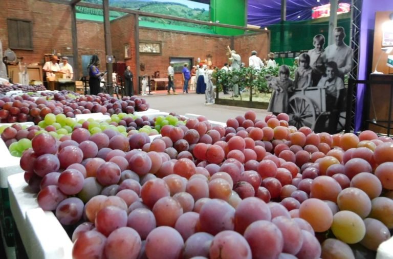 Captura de tela 2024-01-16 170218