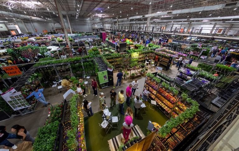 Captura de tela 2024-03-13 085810