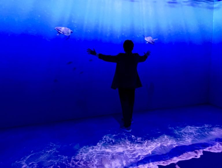 Imagem-do-WhatsApp-de-2024-07-25-a-s--18.20.22-f16bef32