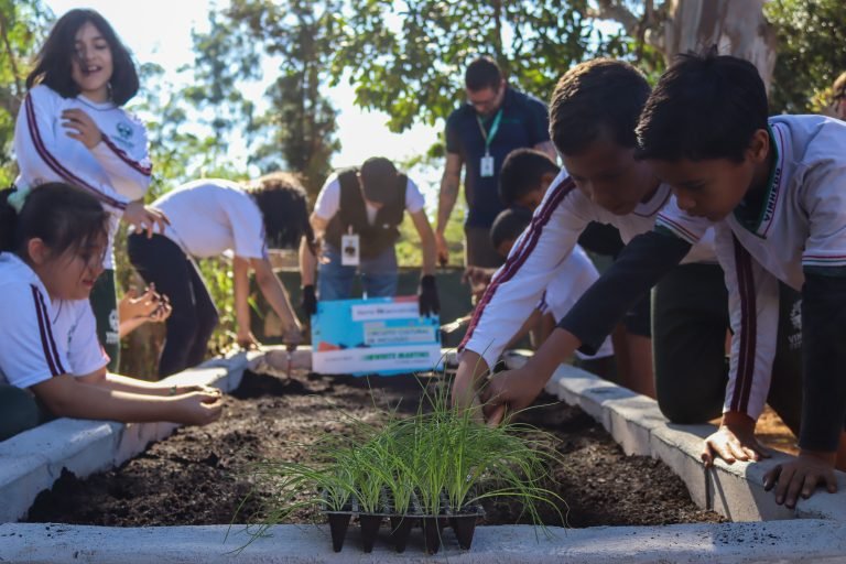 Foto_Horta em Vinhedo_Alunos na horta