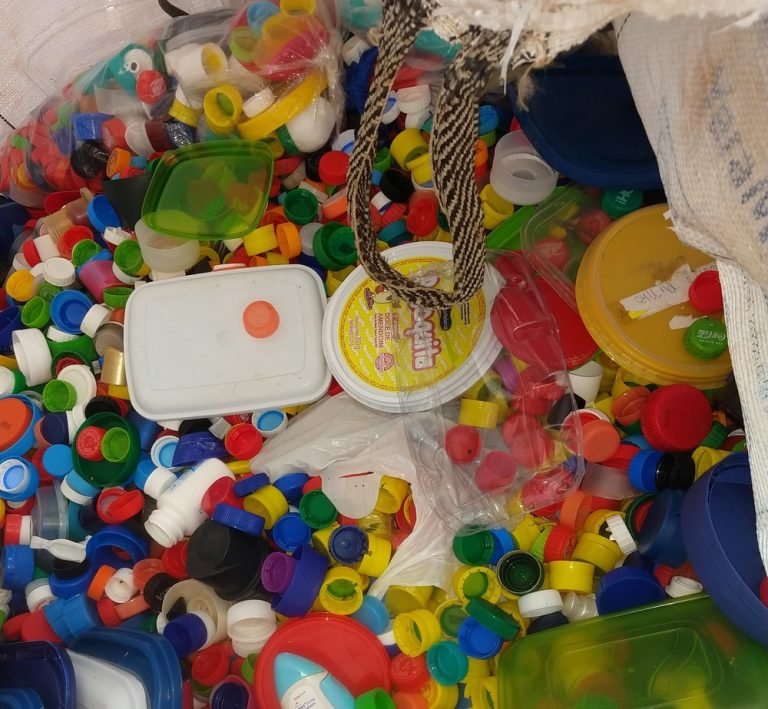 Doações - Viralatinhas(1)(2)