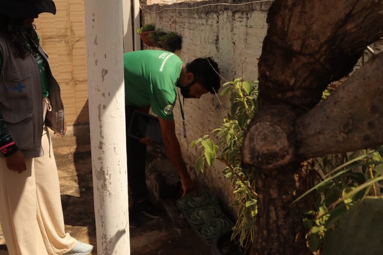 18-11-2024 CASA A CASA AEDES