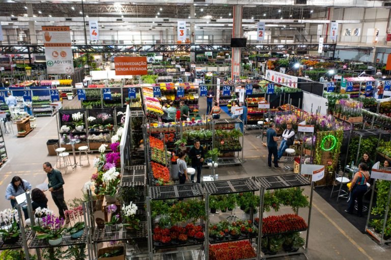 28VMKT-DIA2-DRONE-0853 (1)