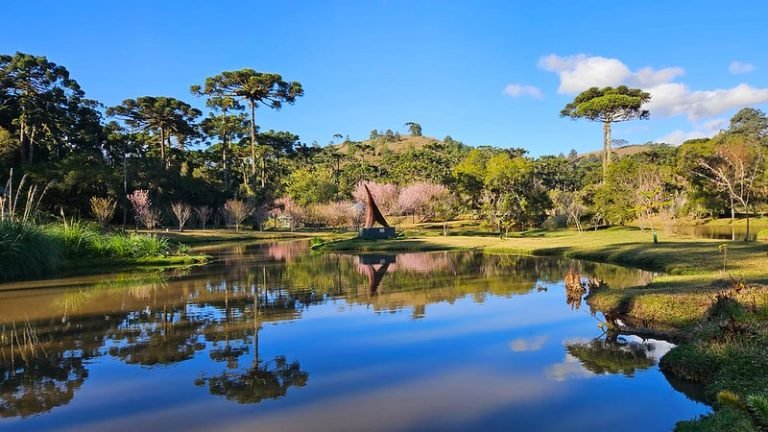 WhatsApp Image 2025-02-13 at 17.15.59 (1)