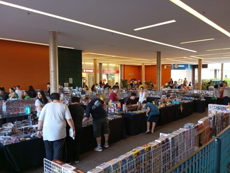 Multicolecionismo (2) (1)