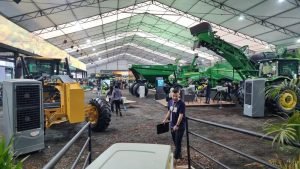 WhatsApp-Image-2025-07-31-at-15.38.32 - 1-