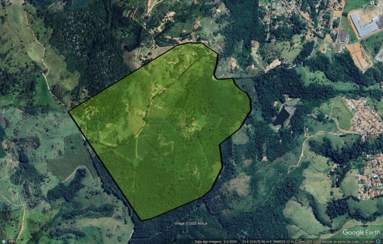 WhatsApp Image 2025-08-29 at 09.39.12