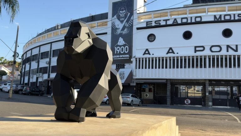 d94de35c-9414-47b5-aff1-48afd4e6507d (1)