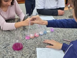 IMG-20251013-WA0047 (1)