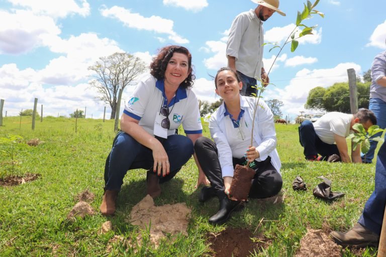 Plantio em Limeira (SP) é também promovido pela Agência das Bacias PCJ