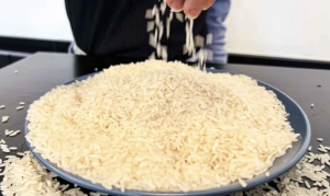 Captura de tela de 2025-12-01 14-17-15