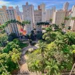 08/12: Feriado do Dia da Padroeira impulsiona o lazer familiar em Campinas e fortalece a procura por experiências colaborativas