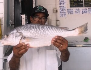 Foto peixe Semana Santa (1) (1)