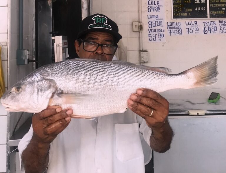 Foto peixe Semana Santa (1) (1)