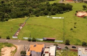 WhatsApp Image 2026-03-12 at 09.56.27 (1)