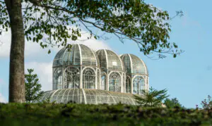 Jardim-Botanico-de-Curitiba.-Creditos-Divulgacao-Envato (1)