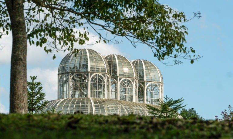 Jardim-Botanico-de-Curitiba.-Creditos-Divulgacao-Envato (1)