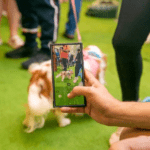 Galleria Shopping promove Encontro de Schnauzers com programação gratuita