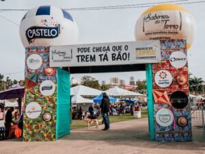 junina 25 (11) (1)