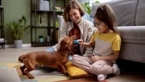 Com-animais-cada-vez-mais-integrados-a-rotina-os-ambientes-domesticos-passam-por-adaptacoes-que-refletem-essa-convivencia