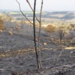 Jaguariúna promove curso gratuito de prevenção e combate a incêndios no campo