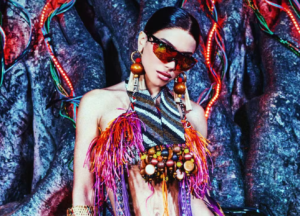 Anitta3