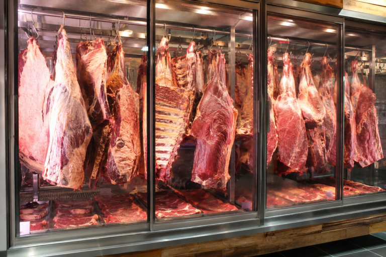 carnes (1)