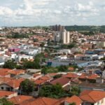 Monte Mor lidera exportações brasileiras em dois segmentos e figura entre os cinco primeiros em outros três
